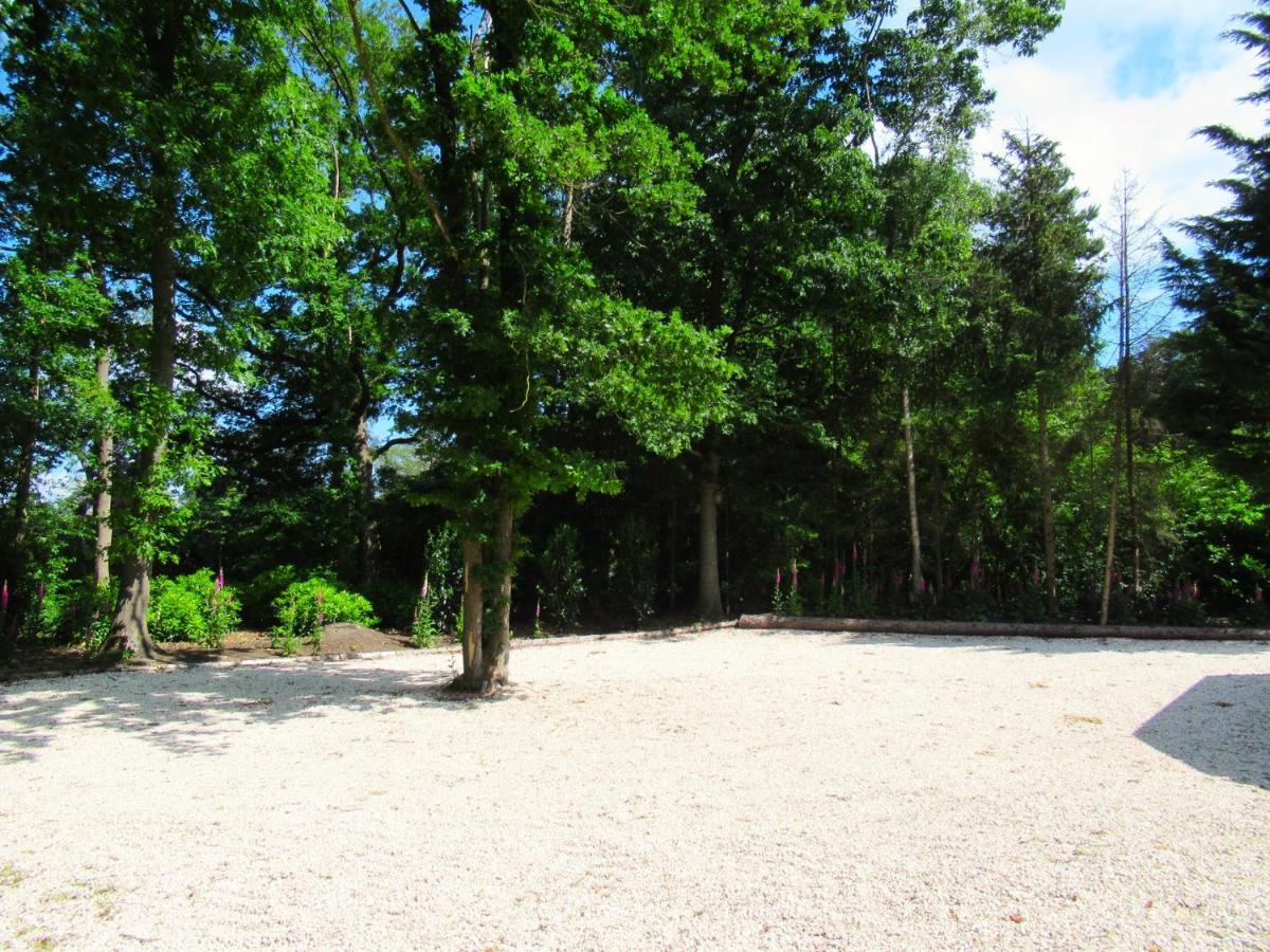 Secret Wellness Oase Villa Holten Buitenkant foto
