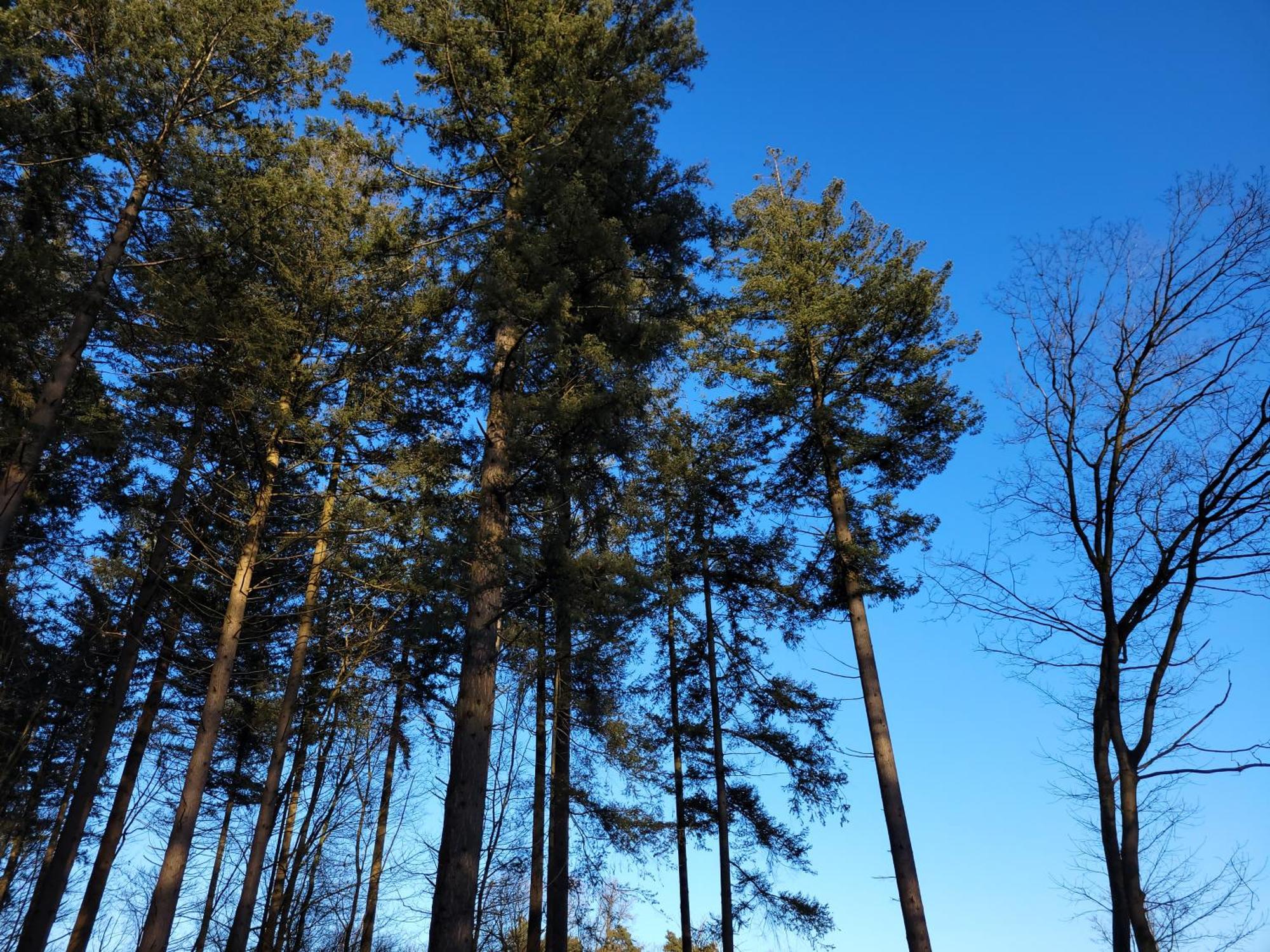 Secret Wellness Oase Villa Holten Buitenkant foto